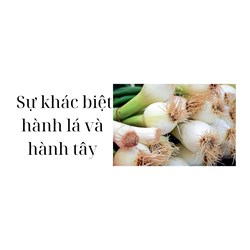 Sự khác biệt hành lá và hành tây