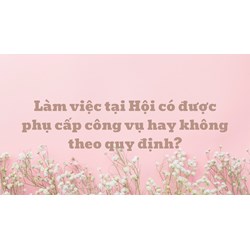 Làm việc tại Hội có được phụ cấp công vụ hay không theo quy định?