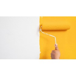 Ngửi mùi sơn có độc không?