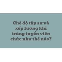 Chế độ tập sự và xếp lương khi trúng tuyển viên chức như thế nào?