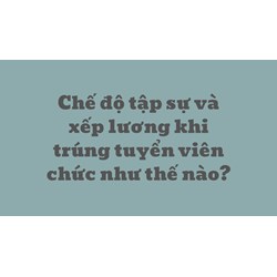 Chế độ tập sự và xếp lương khi trúng tuyển viên chức như thế nào?