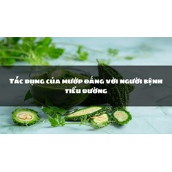 Tác dụng của mướp đắng với người bệnh tiểu đường