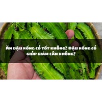 Ăn đậu rồng có tốt không? Đậu rồng có giúp giảm cân không?