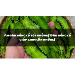 Ăn đậu rồng có tốt không? Đậu rồng có giúp giảm cân không?