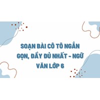 Soạn bài Cô Tô ngắn gọn, đầy đủ nhất - Ngữ văn lớp 6