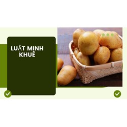 Tinh bột khoai tây là gì? Tinh bột khoai tây khác gì bột khoai tây