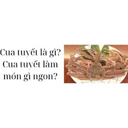 Cua tuyết là gì? Cua tuyết làm món gì ngon?
