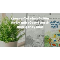 Cảm nghĩ về văn bản Vừa nhắm mắt vừa mở cửa sổ chọn lọc hay nhất