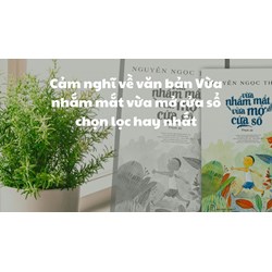 Cảm nghĩ về văn bản Vừa nhắm mắt vừa mở cửa sổ chọn lọc hay nhất