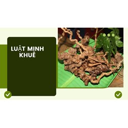 Các loại cây thảo dược tốt cho sức khỏe theo dân gian