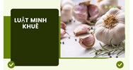 Mách bạn các thực phẩm tốt cho mạch máu không phải ai cũng biết
