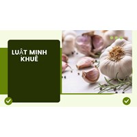 Mách bạn các thực phẩm tốt cho mạch máu không phải ai cũng biết