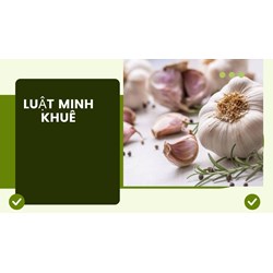 Mách bạn các thực phẩm tốt cho mạch máu không phải ai cũng biết