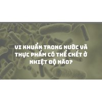 Vi khuẩn trong nước và thực phẩm có thể chết ở nhiệt độ nào?