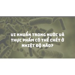 Vi khuẩn trong nước và thực phẩm có thể chết ở nhiệt độ nào?