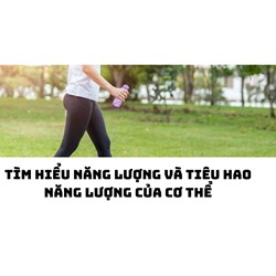 Tìm hiểu năng lượng và tiêu hao năng lượng của cơ thể