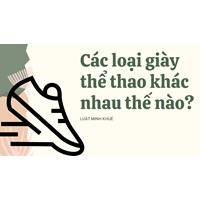 Các loại giày thể thao khác nhau thế nào?