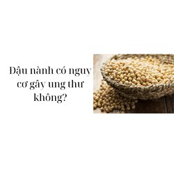 Đậu nành có nguy cơ gây ung thư không?