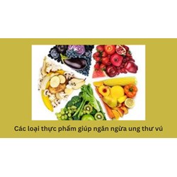 Các loại thực phẩm giúp ngăn ngừa ung thư vú