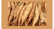 Triệu chứng say sắn, ngộ độc sắn mà bạn nên biết