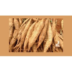 Triệu chứng say sắn, ngộ độc sắn mà bạn nên biết