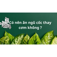 Có nên ăn ngũ cốc thay cơm hoàn toàn không ?