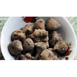 Thận trọng khi sử dụng củ ấu tẩu