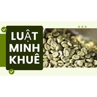Cà phê xanh là gì? Cà phê xanh có tác dụng giúp giảm cân không?