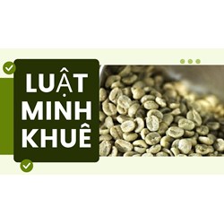 Cà phê xanh là gì? Cà phê xanh có tác dụng giúp giảm cân không?