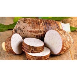 Bị tiểu đường ăn khoai sọ có sao không?