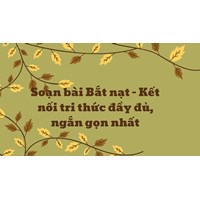 Soạn bài Bắt nạt - Kết nối tri thức đầy đủ, ngắn gọn nhất