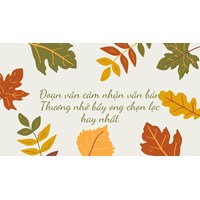 Đoạn văn cảm nhận văn bản Thương nhớ bầy ong chọn lọc hay nhất
