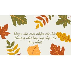 Đoạn văn cảm nhận văn bản Thương nhớ bầy ong chọn lọc hay nhất