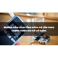 Hướng dẫn cách tính nồng độ cồn theo lượng rượu bia đã sử dụng