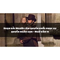 Soạn bài Người cầm quyền khôi phục uy quyền ngắn gọn - Ngữ văn 11