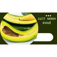 Bơ 034 là gì? Cách chọn mua và bảo quản bơ 034 chuẩn nhất