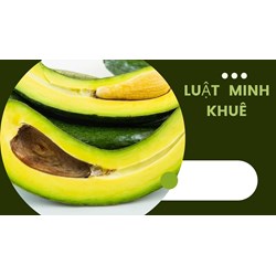 Bơ 034 là gì? Cách chọn mua và bảo quản bơ 034 chuẩn nhất