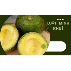 Bơ booth là gì? Cách chọn và bảo quản bơ booth ngon nhất