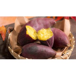 Lượng calo có trong khoai lang