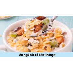 Ăn ngũ cốc có béo không?