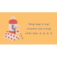 Tổng hợp 4 loại vitamin tan trong chất béo: A, D, E, K
