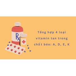 Tổng hợp 4 loại vitamin tan trong chất béo: A, D, E, K