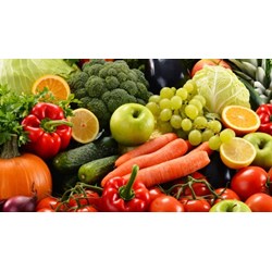 Chất dinh dưỡng ở thực vật là gì