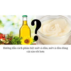Hướng dẫn cách phân biệt mỡ và dầu, mỡ và dầu dùng cái nào tốt hơn