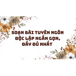 Soạn bài Tuyên ngôn độc lập ngắn gọn, đầy đủ nhất