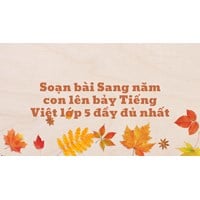 Soạn bài Sang năm con lên bảy Tiếng Việt lớp 5 đầy đủ nhất