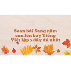 Soạn bài Sang năm con lên bảy Tiếng Việt lớp 5 đầy đủ nhất