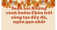 Soạn bài Những cánh buồm Chân trời sáng tạo đầy đủ, ngắn gọn nhất