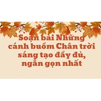 Soạn bài Những cánh buồm Chân trời sáng tạo đầy đủ, ngắn gọn nhất