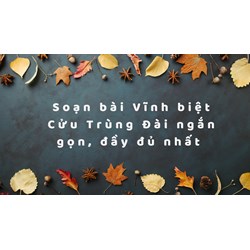 Soạn bài Vĩnh biệt Cửu Trùng Đài ngắn gọn, đầy đủ nhất